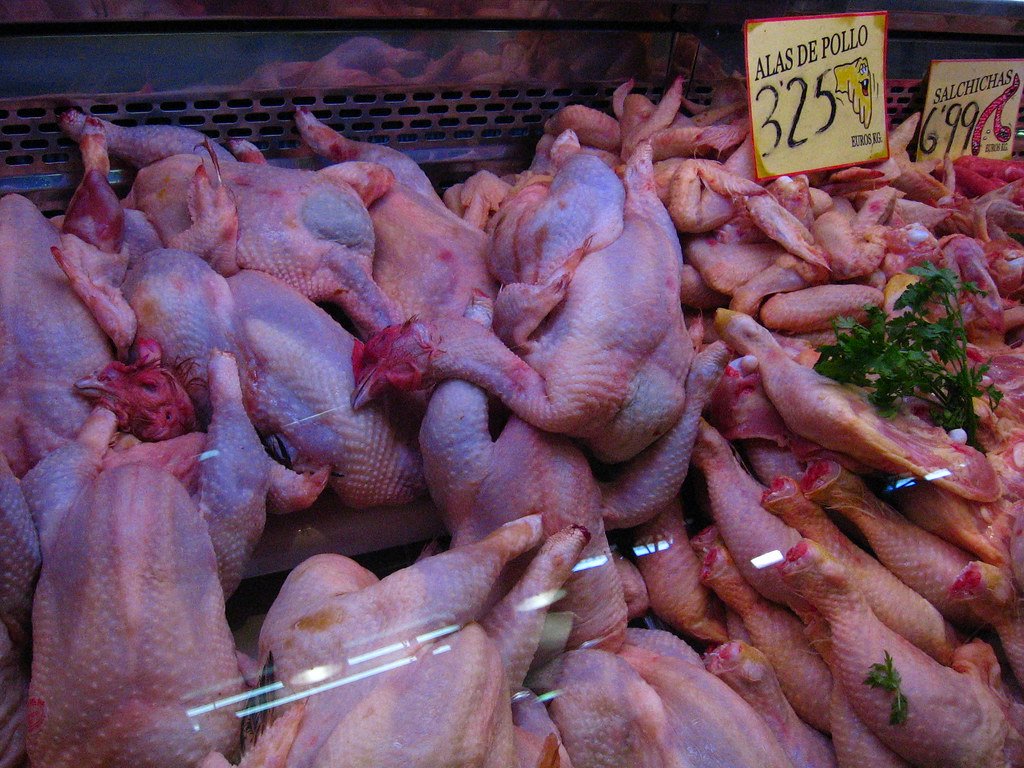 [ASAO-0175] Carcasa de pollo